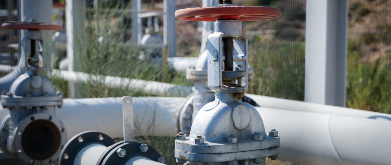 Strategic Planning Enables Commercial Growth for a Public Utility